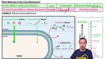 Biological Membrane Transport