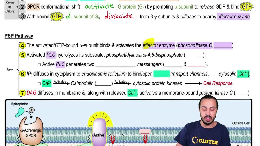 Phosphoinositide GPCR Signaling