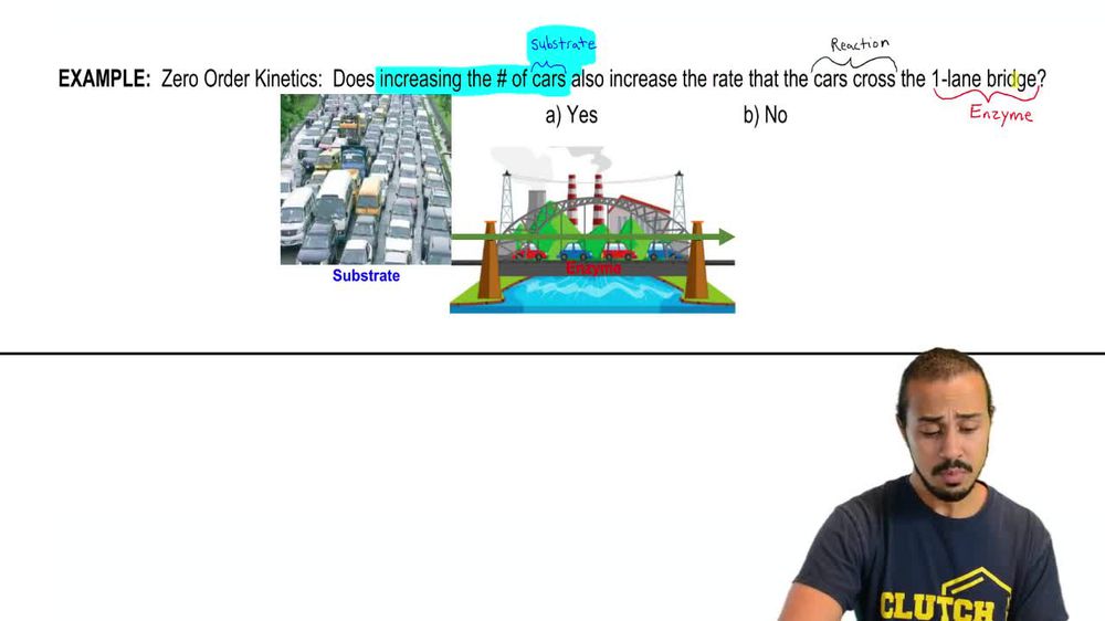 Reaction Orders Example 1