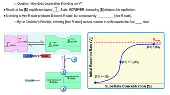 Allosteric Enzyme Conformations