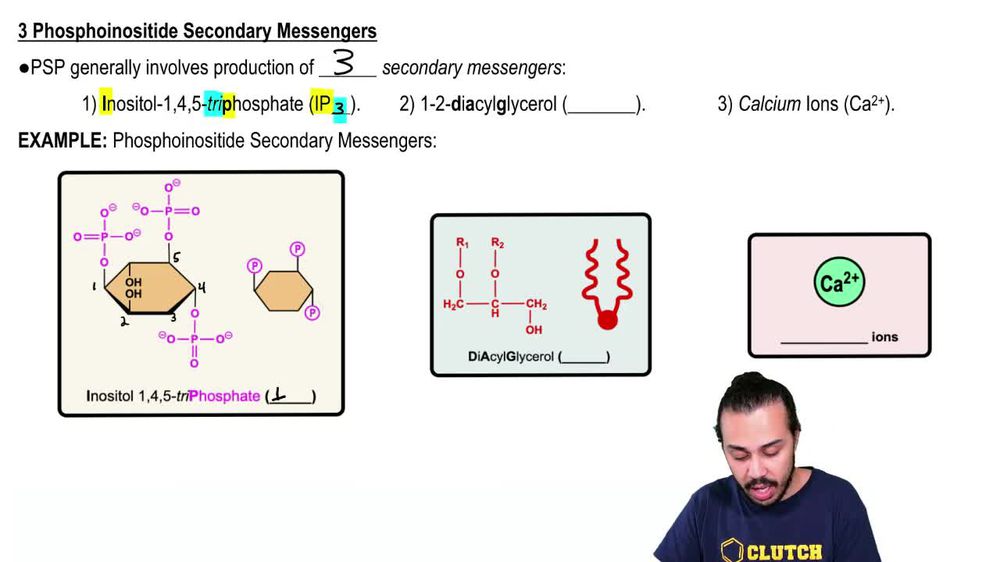 Phosphoinositide GPCR Signaling