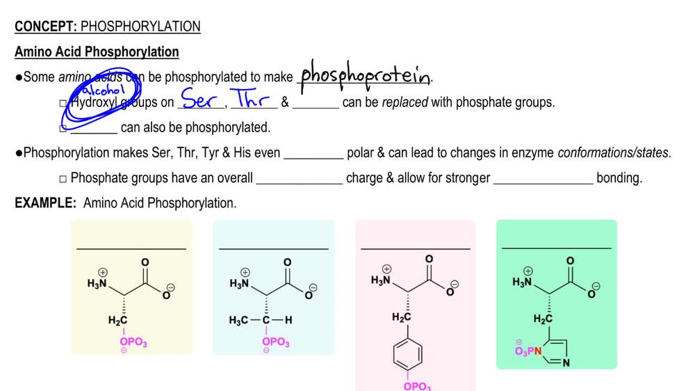 Phosphorylation