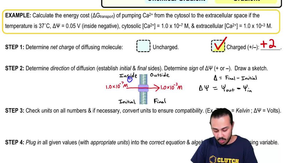 Thermodynamics of Membrane Diffusion: Charged Ion Example 1