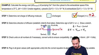 Thermodynamics of Membrane Diffusion: Charged Ion Example 1