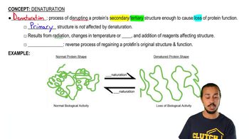 Denaturation
