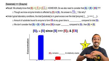 Enzyme Kinetics 