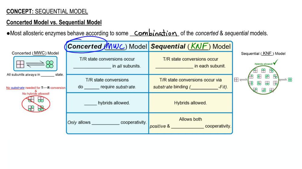 Sequential (KNF) Model