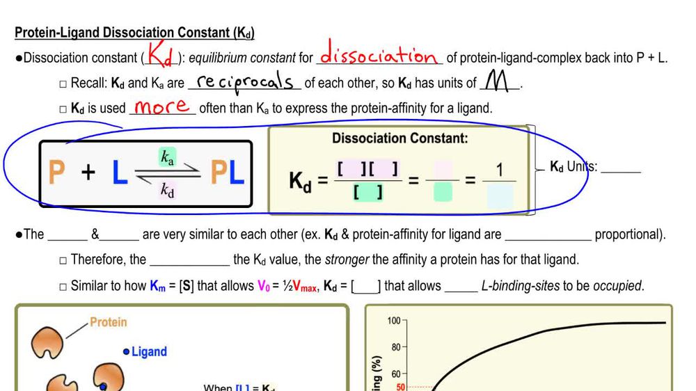 Protein-Ligand Equilibrium Constants