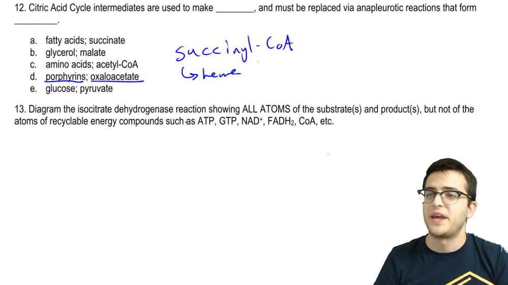 Citric Acid Cycle Practice 3