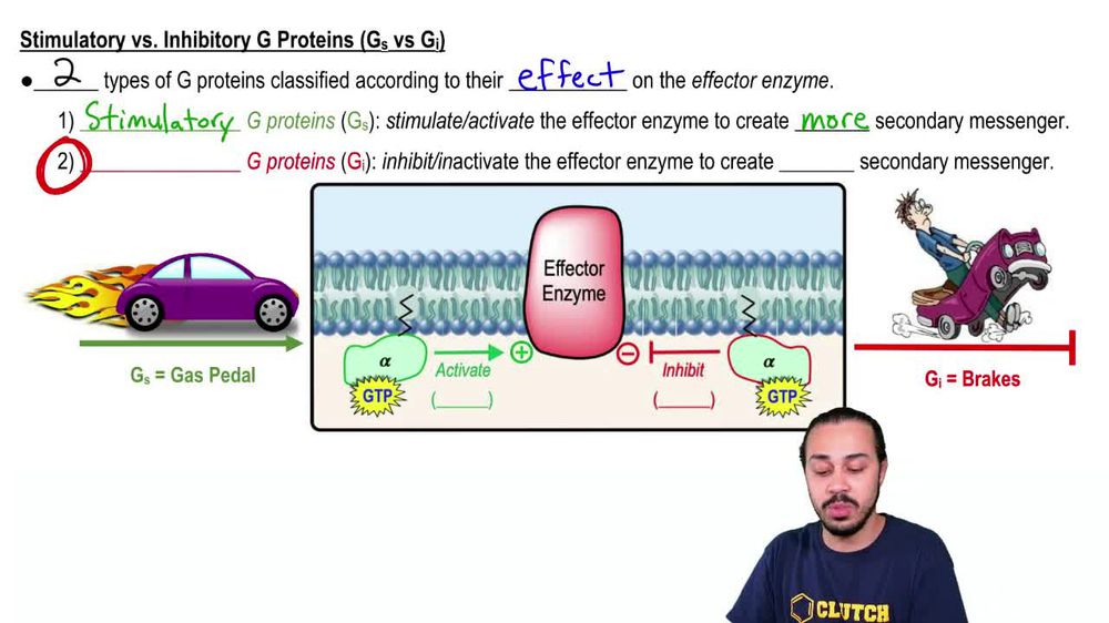 G protein-Coupled Receptors