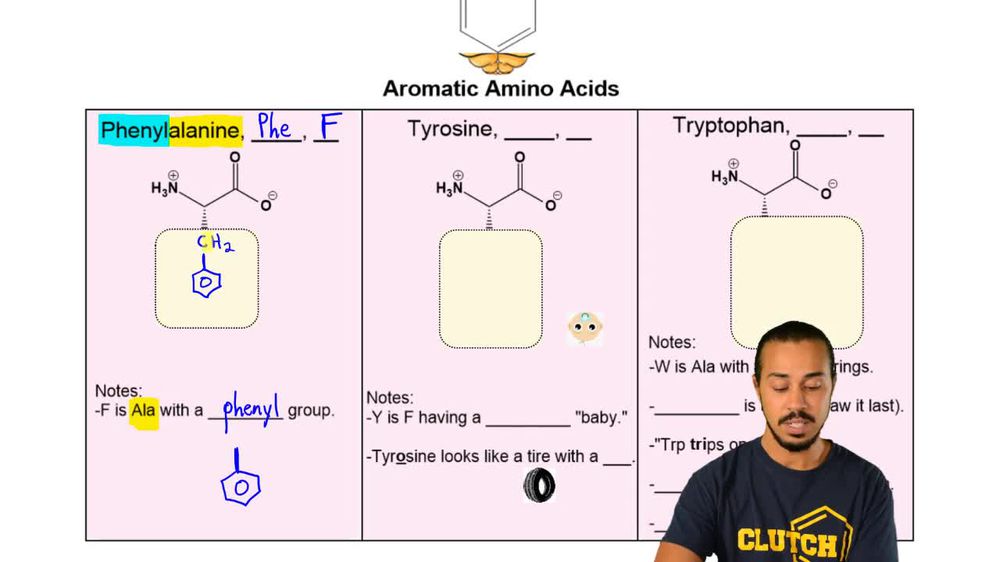 Aromatic Amino Acids