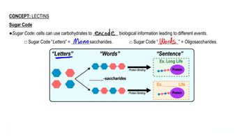 Lectins