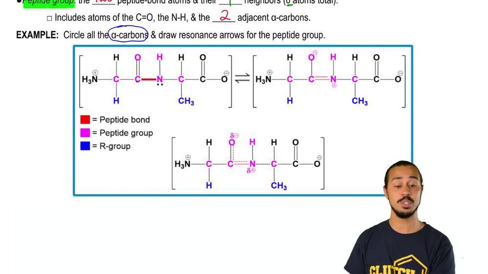 Peptide Group