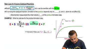 Rate Constants and Rate Law