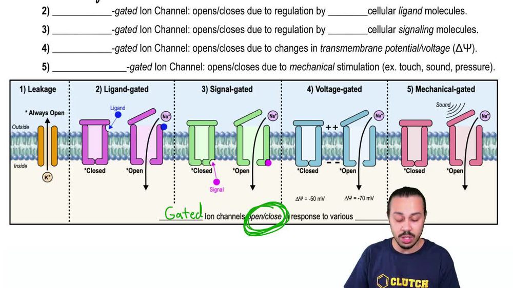 Membrane Transport of Ions