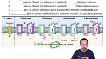 Membrane Transport of Ions