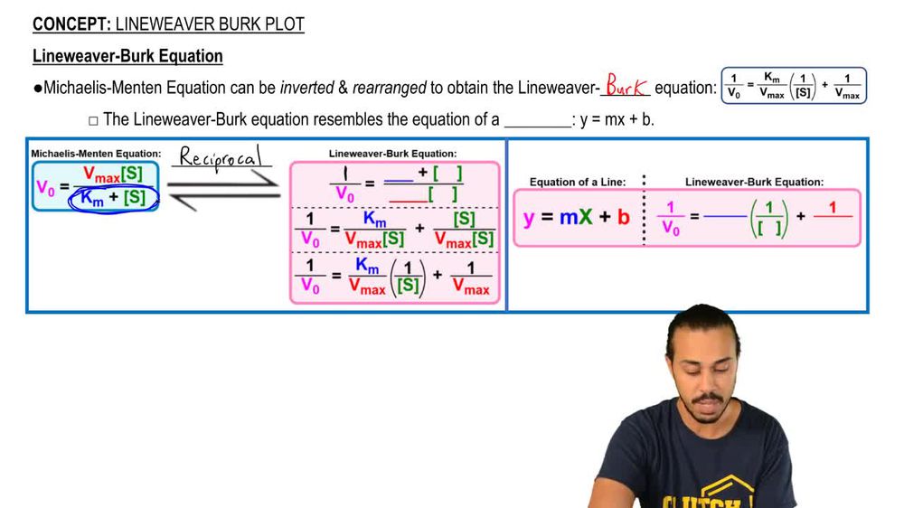 Lineweaver-Burk Plot