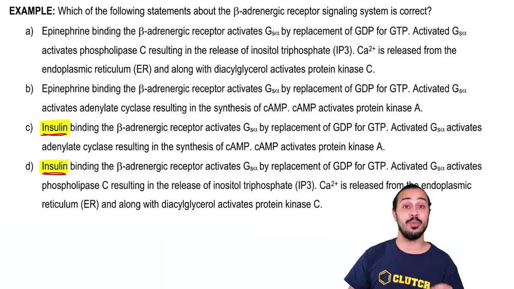 Recap of Adenylate Cyclase GPCR Signaling Example 1