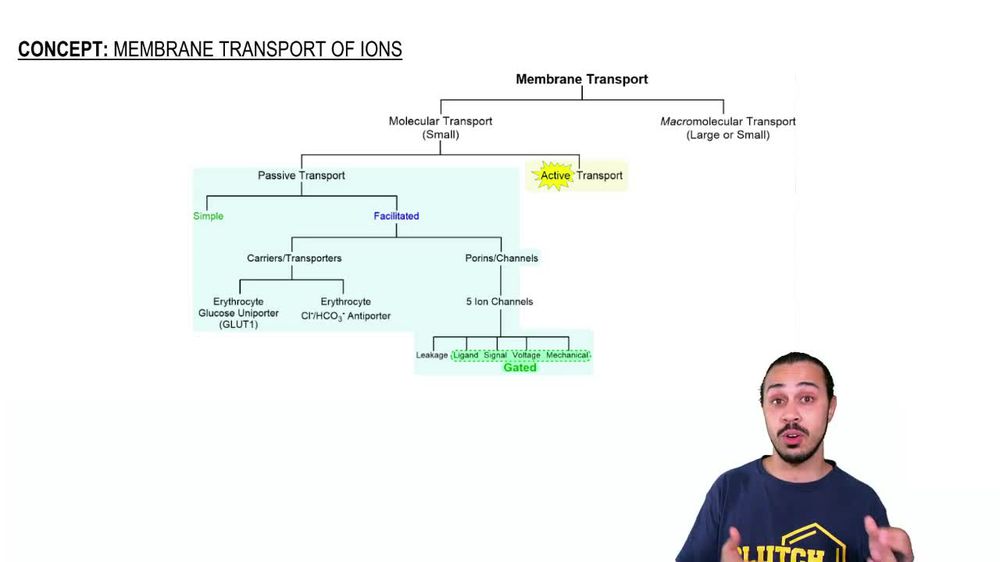 Membrane Transport of Ions