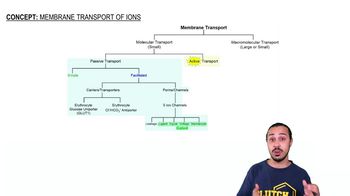 Membrane Transport of Ions