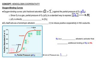 Heme Cooperativity