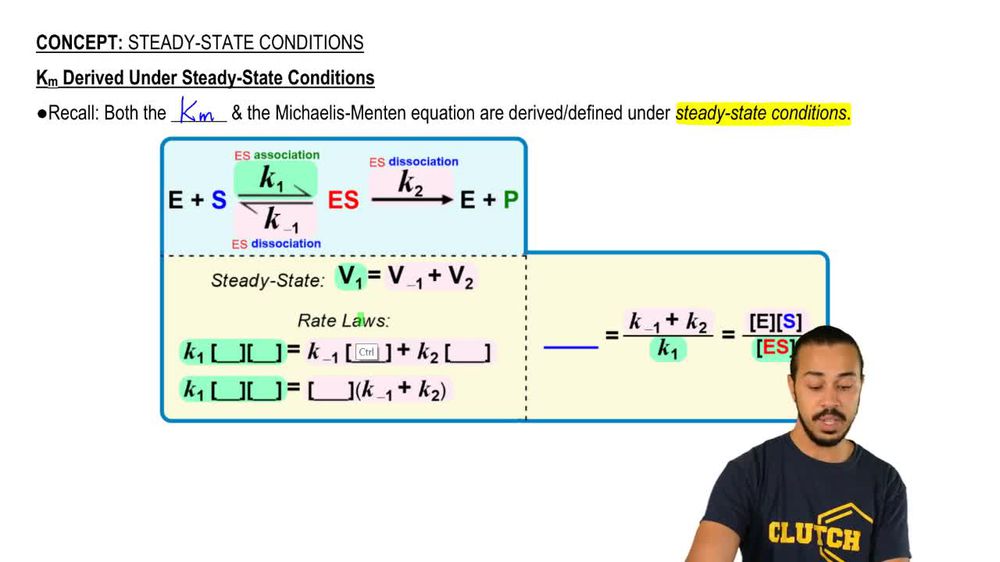 Steady-State Conditions