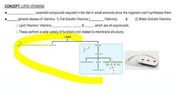 Lipid Vitamins