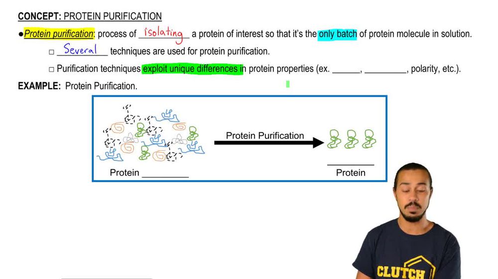 Protein Purification