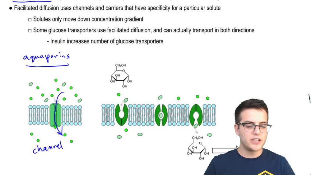 Membrane Transport 1