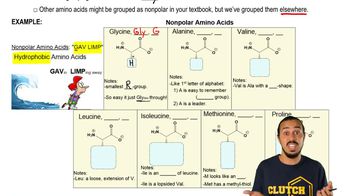 Memorizing Nonpolar Amino Acids