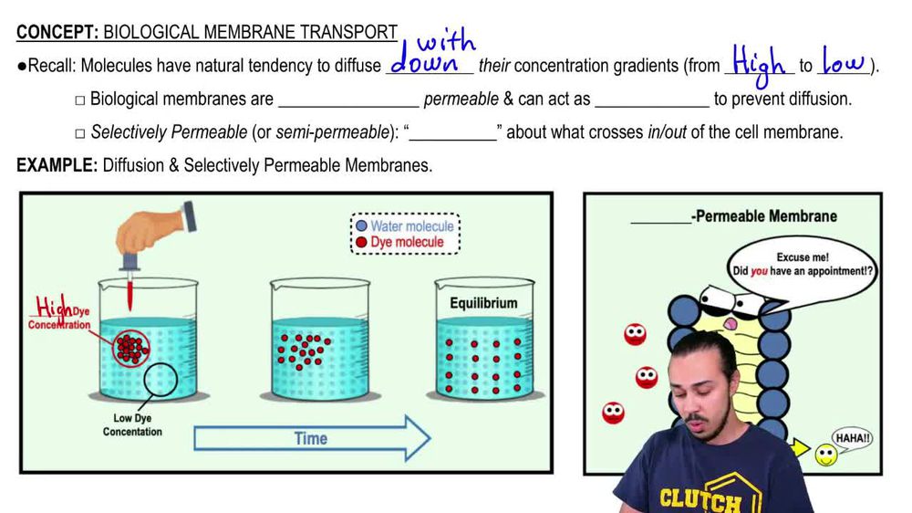 Biological Membrane Transport