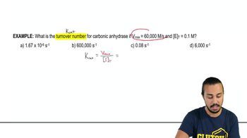 Kcat Example 1