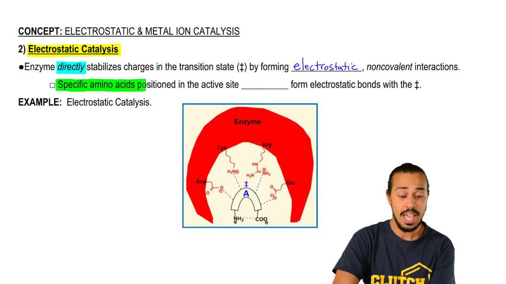Electrostatic and Metal Ion Catalysis 