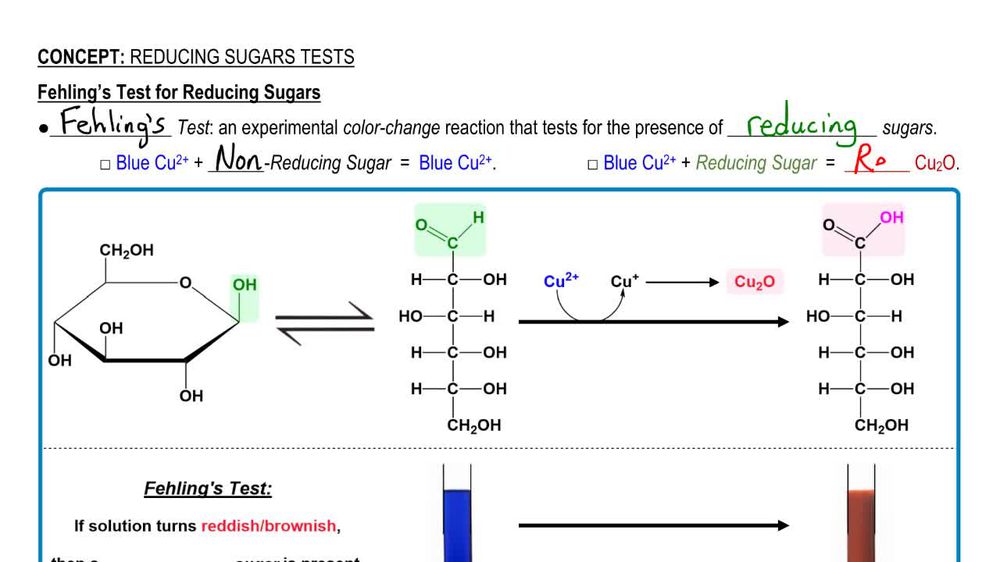 Reducing Sugar Tests