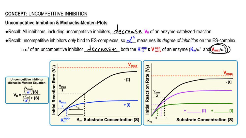 Uncompetitive Inhibition & Michaelis-Menten Plots