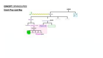 Sphingolipids