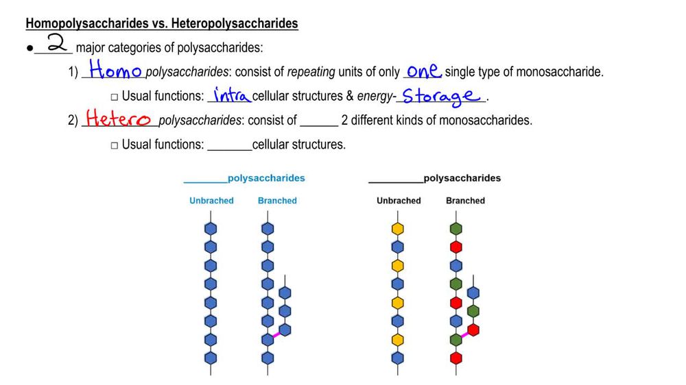 Polysaccharide