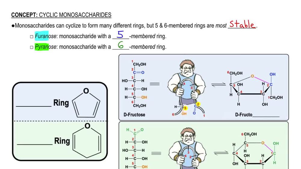 Cyclic Monosaccharides