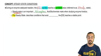 Steady State Conditions 