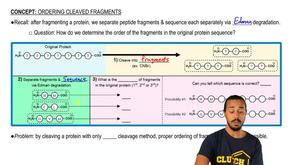 Ordering Cleaved Fragments