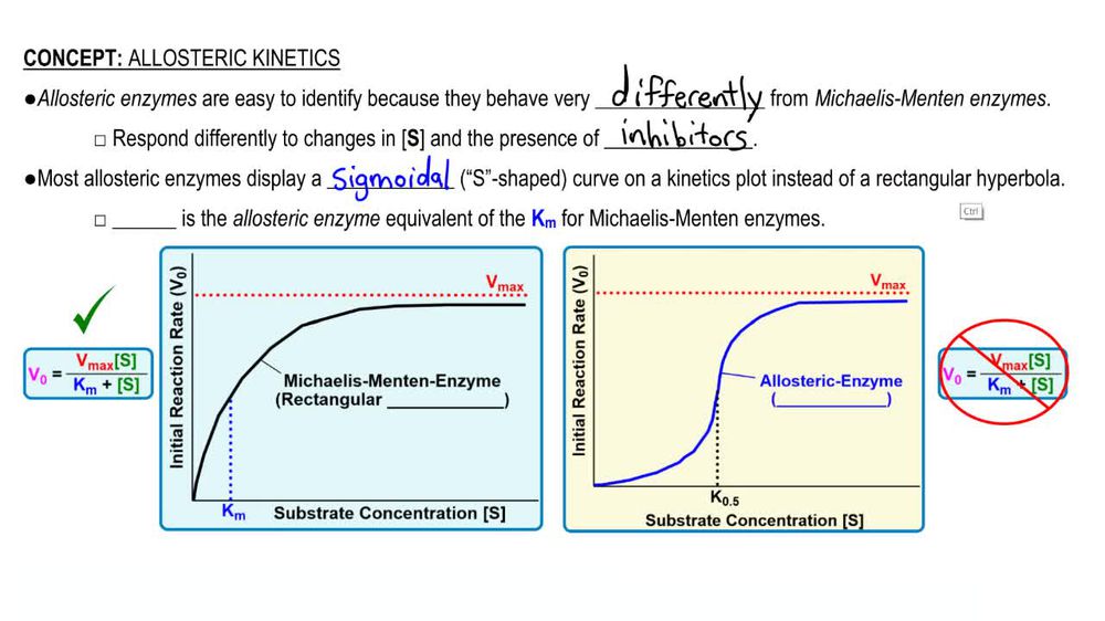 Allosteric Kinetics