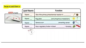 Lipid Vitamins