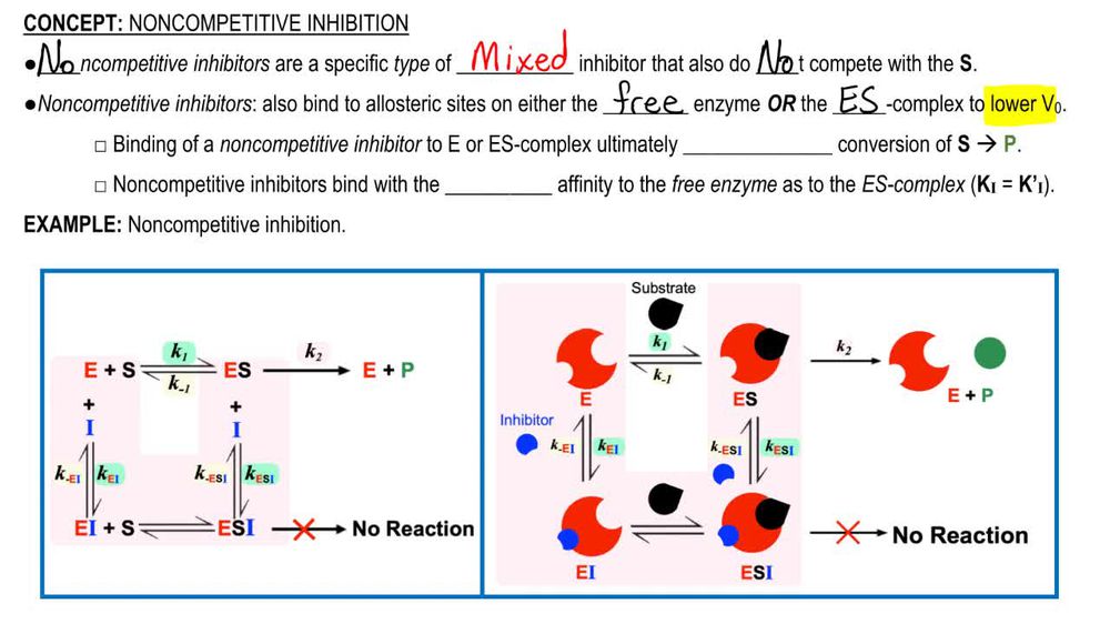 Noncompetitive Inhibition