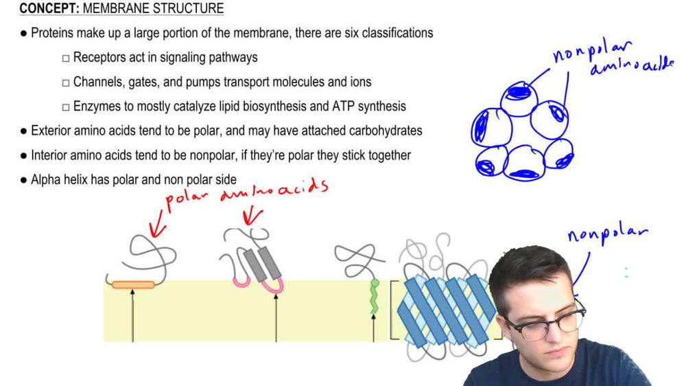 Membrane Structure 2