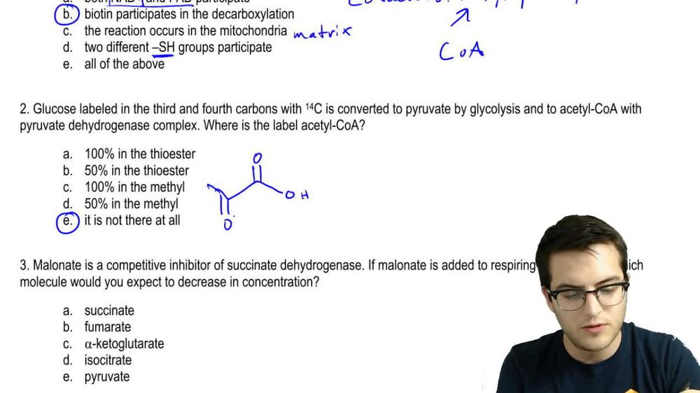 Citric Acid Cycle Practice 1