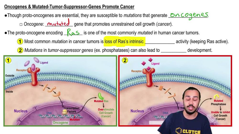 Signaling Defects & Cancer