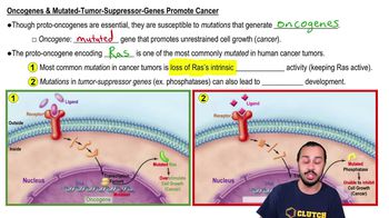 Signaling Defects & Cancer
