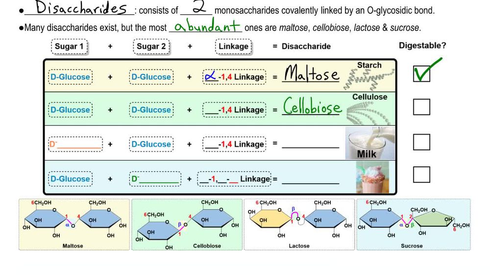 Disaccharides
