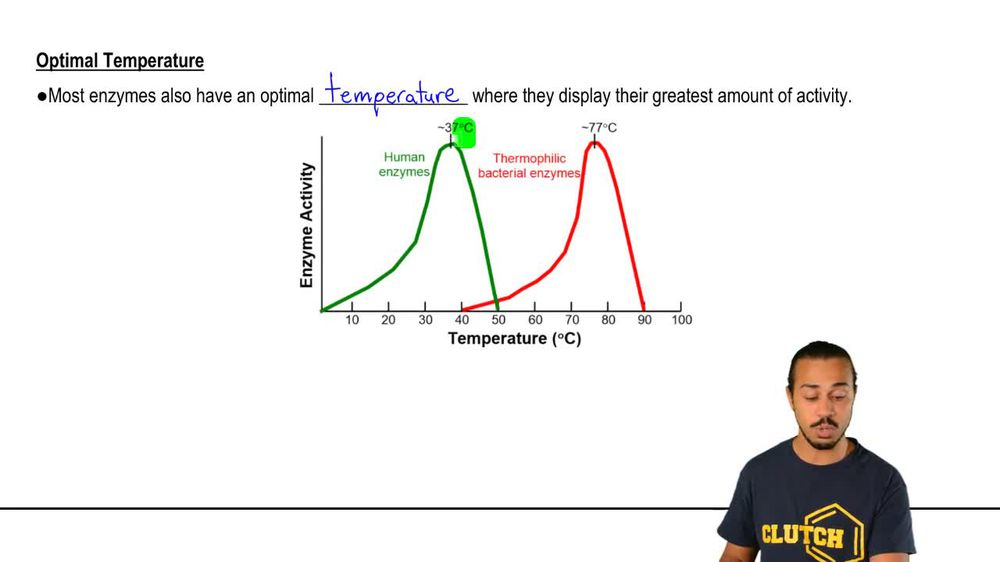 Optimal Enzyme Conditions 