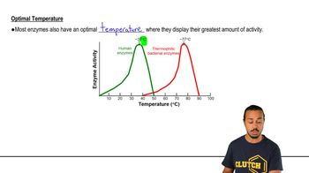 Optimal Enzyme Conditions 